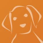 the kennels, the catteries & the kennatteries