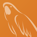 dubai kennels, dubai catteries & the kennatteries