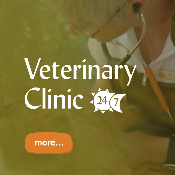 DKC Veterinary Clinic