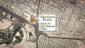 DKC Video Tour <br>Part 1 of 9 <span>A Quick Little Introduction</span>