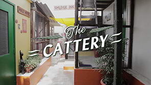 DKC Video Tour <br>Part 4 of 9 <span>The Cattery</span>