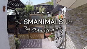 DKC Video Tour <br>Part 6 of 9 <span>Smanimals (Small Animals... get it?) ~ Our Other Creatures</span>