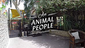 <span>DKC Video Tour ~ <br>The Whole Show</span>