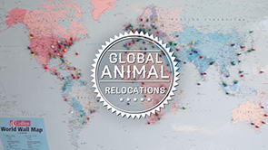 DKC Video Tour <br>Part 7 of 9 <span>Global Animal Relocations