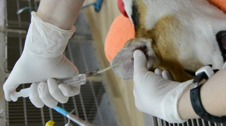 Flushing Those Deeply Dirty Ears