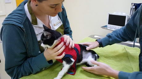 MediJackets - Medically Helpful AND Fashionable!