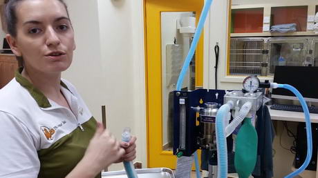 Checkin' that Anaesthetic Machine