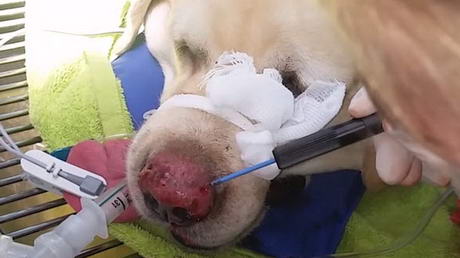 Cauterisation to Stop Bleeding