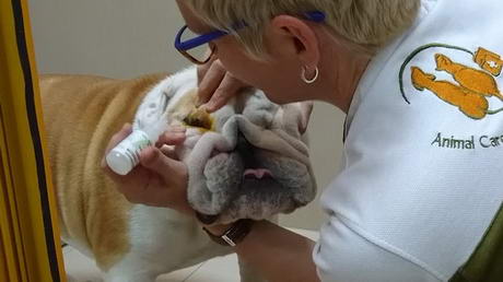 Checking for a Corneal Ulcer