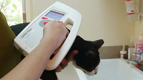 Microchip Scanning Wizardry