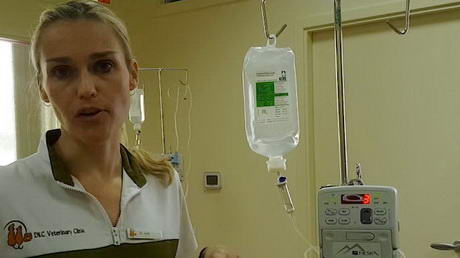 Maintaining Our Fluid Pumps