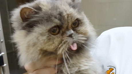 Nebulising a Snotty Nose