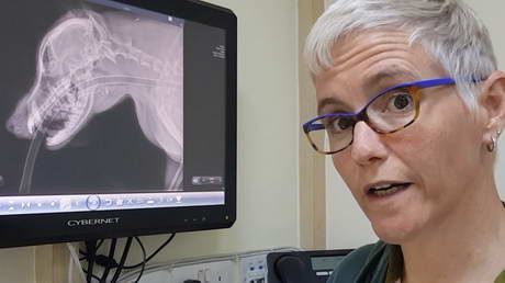 Finding a Needle with an X-ray