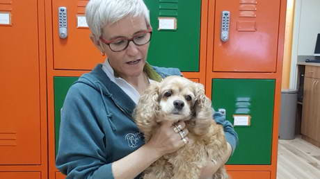 Immune Mediated Polyarthritis in a Dog - Ouch!