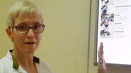 Our Electronic Whiteboard and Hospital Sheets