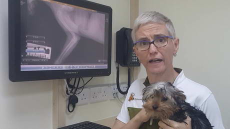 A painful fracture of the elbow joint