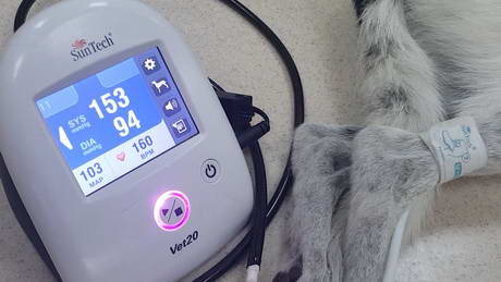 The pressure of measuring blood pressure!