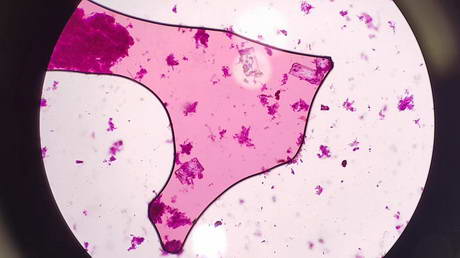 More about Pretty Crystals