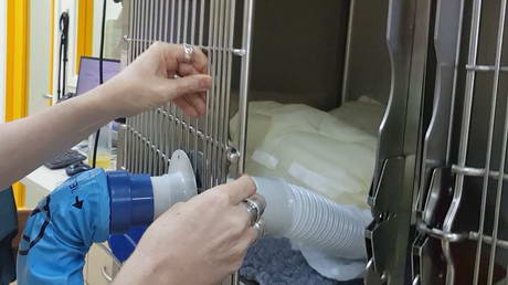 Warming up anaesthetic patients