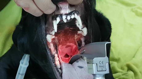 Intubating our patients