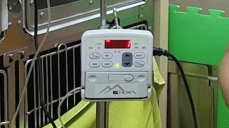 Fluid Therapy & Eeeeaaaasy Fridays