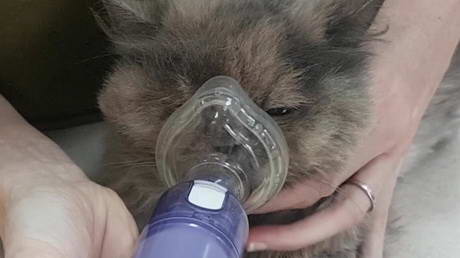 Managing a Snotty Nose