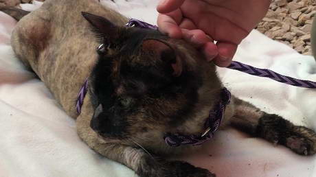 Good ol' fresh air and sunshine