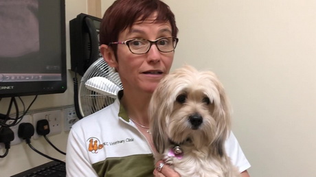 Counting puppies before they're born