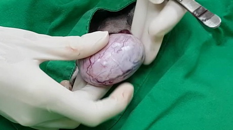 Treasure hunt anyone?