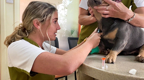 Going for the Jugular!  ;-)